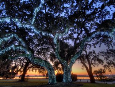 Holiday lights on Jekyll Island, Georgia