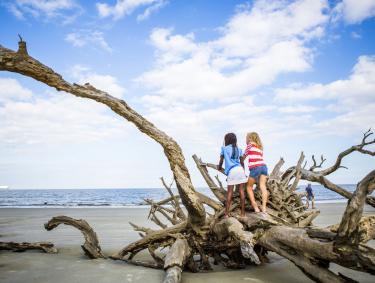 Two young girls on a large piece of driftwood on Jekyll Island's Driftwood Beach