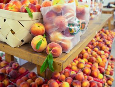Peaches at Mercier Orchards in Blue Ridge, Georgia