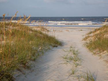Path through beach dunes on Cumberland Island, Georgia