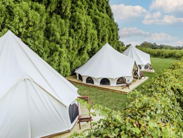 Wine bungalows at Chateau Elan in Braselton, Georgia. Photo by @timberlineglamping