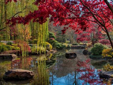 Fall color at Gibbs Gardens in Ball Ground, Georgia