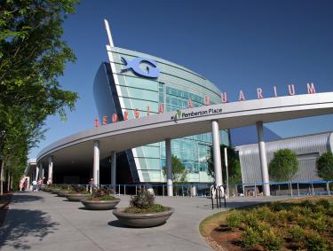 Georgia Aquarium in Atlanta