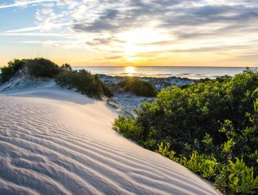 Cumberland Island