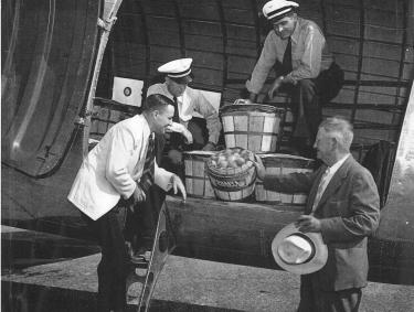 The first peaches shipped by airline at Dickey Farms in Musella, Georgia