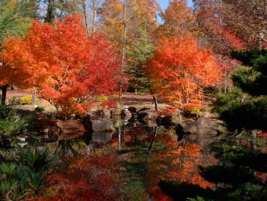 Gibbs Gardens Japanese Garden in the fall