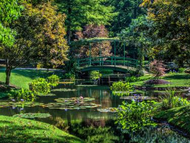 Monet Bridge at Gibbs Gardens