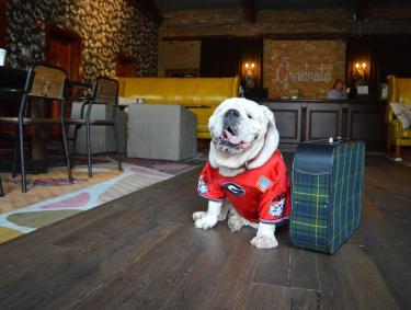 Uga at Hotel Abacus in Athens, Georgia