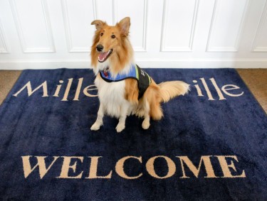 A brown and white dog sits on a blue welcome mat in Milledgeville, Georgia