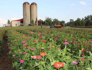 Southern Belle Farm in McDonough, Georgia