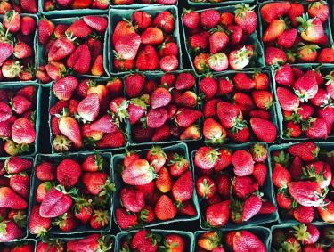 Strawberries at Jaemor Farms