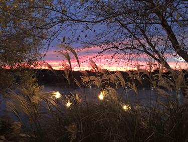 View from 11th & Bay's Porch Overlooking the Chattahoochee River