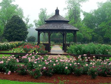 Thomasville Rose Garden