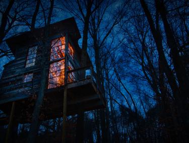 A treetop house lit up at night against a dark sky