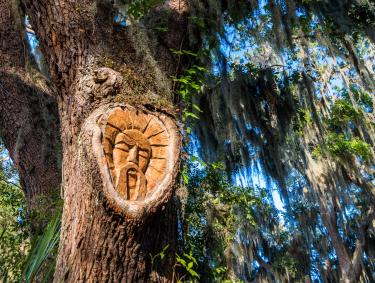 Tree Spirit on Gascoigne Bluff on St. Simons Island, Georgia