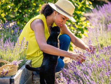 White Hills Lavender & Herb Farm in Dearing, Georgia