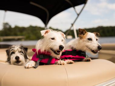 Boating on Lake Oconee. Photo credit: Harbor Club on Lake Oconee