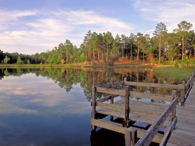 General Coffee State Park