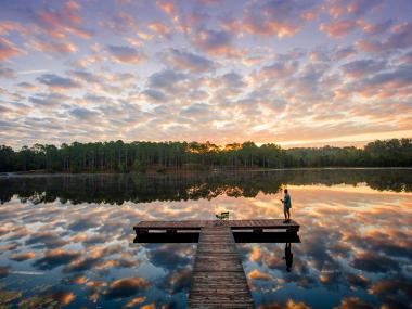 Gordonia-Alatamaha State Park