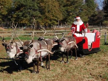 Santa and reindeer at Pettit Creek Farms in Cartersville, Georgia