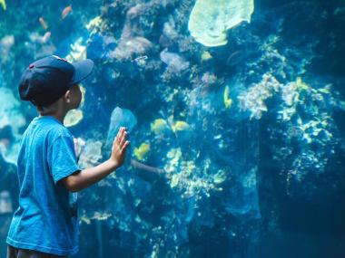 Georgia Aquarium. Photo by @shaaannonshoots, Shannon Elisabeth
