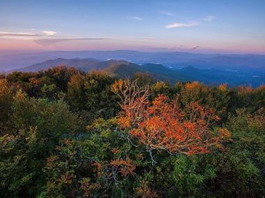 Brasstown Bald. Photo by Luke Theodorou
