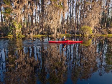 Kayaking in the Okefenokee Swamp