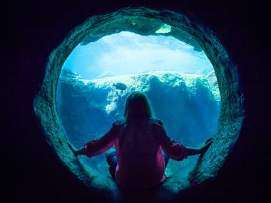Flint RiverQuarium in Albany, Georgia