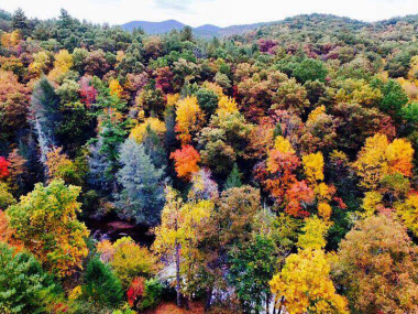 Fall colors in Blue Ridge, Georgia