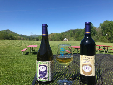 12 Spies Vineyards & Farm in Rabun Gap, Georgia