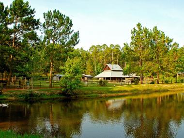 General Coffee State Park in Douglas, Georgia