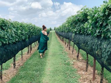 Yonah Mountain Vineyards & Winery in Cleveland, Georgia. Photo by @l0vlee