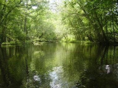 Canoochee River in Claxton, Georgia