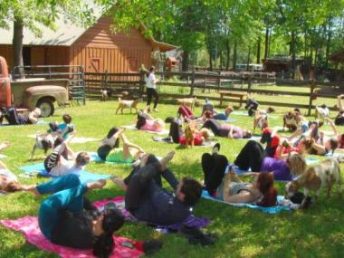 Goat Yoga Georgia in Loganville, Georgia