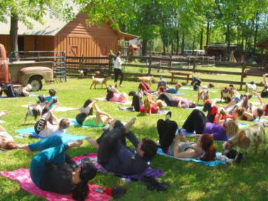 Goat Yoga Georgia in Loganville, Georgia