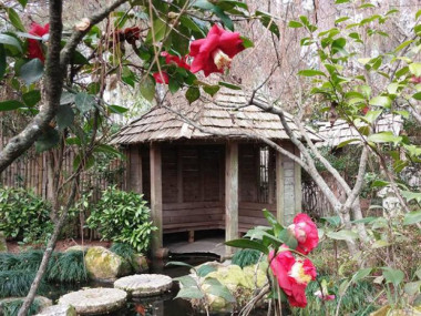 Massee Lane Gardens in Fort Valley, Georgia