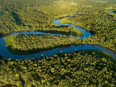 Aerial view of the Altamaha River in Georgia. Photo by Benjamin Galland