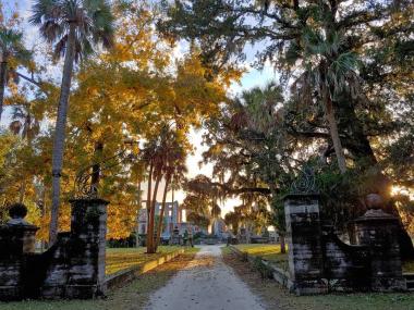 Dungeness ruins on Cumberland Island, Georgia. Photo by @discoveriesphotography