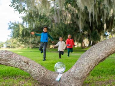 Three children running toward a glass globe resting on a tree branch on Jekyll Island, Georgia