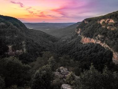 Cloudland Canyon State Park in Rising Fawn, Georgia. Photo by @billrubino