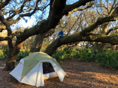 Tent camping on Cumberland Island, Georgia