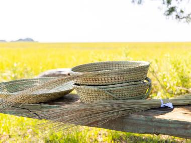 Handmade baskets on Sapelo Island, Georgia