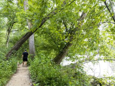 A man and dog hiking along the Chattahoochee River in Atlanta, Georgia