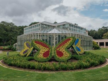 Flower display in the shape of butterflies in front of a glass greenhouse