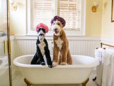 Two dogs wearing showercaps standing in a bathtub at Barnsley Resort