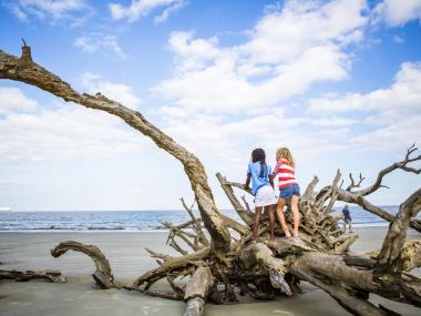 Two young girls on a large piece of driftwood on Jekyll Island's Driftwood Beach