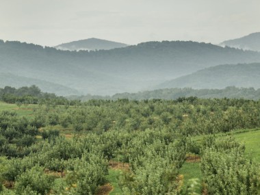 Lush green valley in the mountains in Ellijay, Georgia