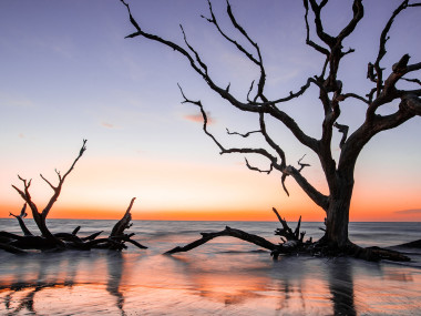 Driftwood Beach on Jekyll Island, Georgia. Photo by @wandernorthga