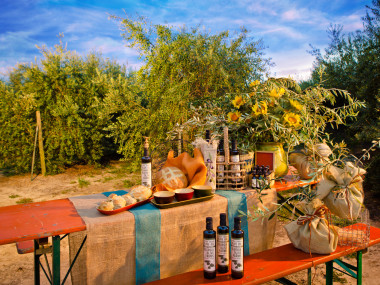 Georgia Olive Farms in Lakeland, Georgia