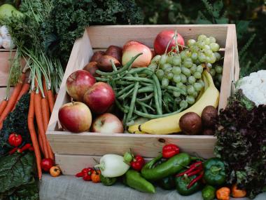 Fresh Harvest Atlanta - Fresh Harvest